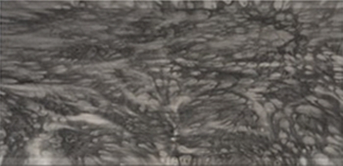 2025, 기억의 단상-사진제공 KCDF갤러리