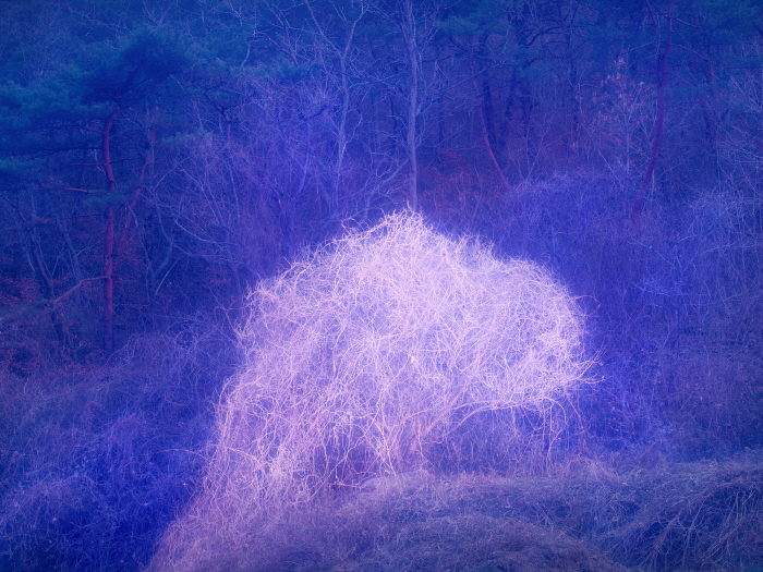 Private Light 01 90x120cm,120x160cm  Archival Pigment print 2025-사진 갤러리 나우 제공