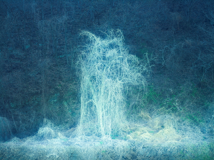 Private Light 07 90x120cm,120x160cm  Archival Pigment print 2025-사진 갤러리 나우 제공