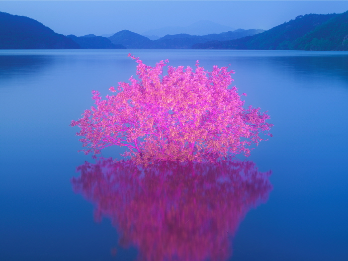 Private Light 12-1 90x120cm,120x160cm  Archival Pigment print 2025-사진 갤러리 나우 제공