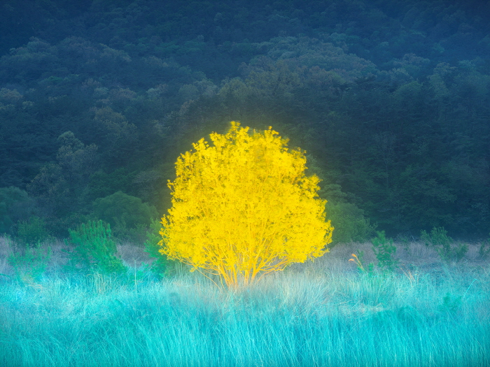 Private Light 13 67x90cm,120x160cm  Archival Pigment print 2025-사진 갤러리 나우 제공