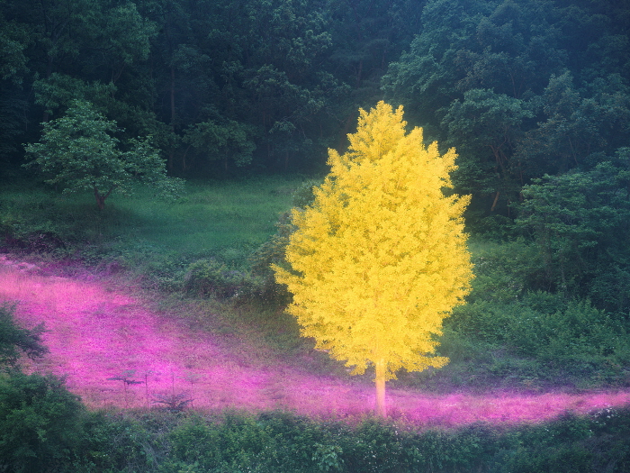 Private Light 19 90x120cm,120x160cm  Archival Pigment print 2025-사진 갤러리 나우 제공