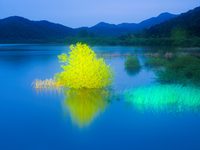 Private Light 21 90x120cm,120x160cm  Archival Pigment print 2025-사진 갤러리 나우 제공