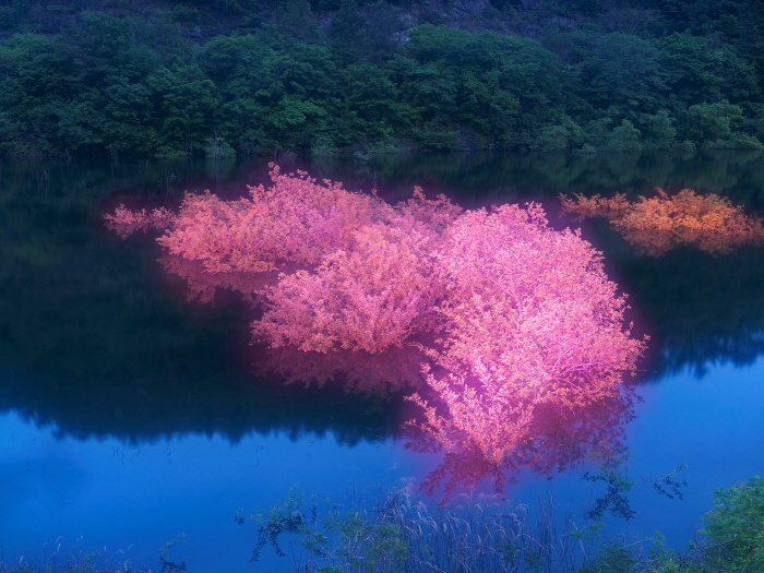 Private Light 23 90x120cm,120x160cm  Archival Pigment print 2025-사진 갤러리 나우 제공