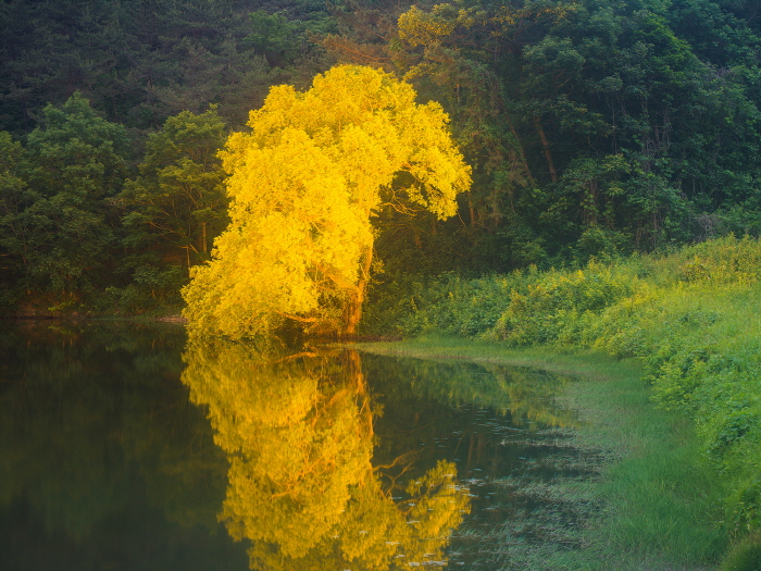 Private Light 24 90x120cm,120x160cm  Archival Pigment print 2025-사진 갤러리 나우 제공