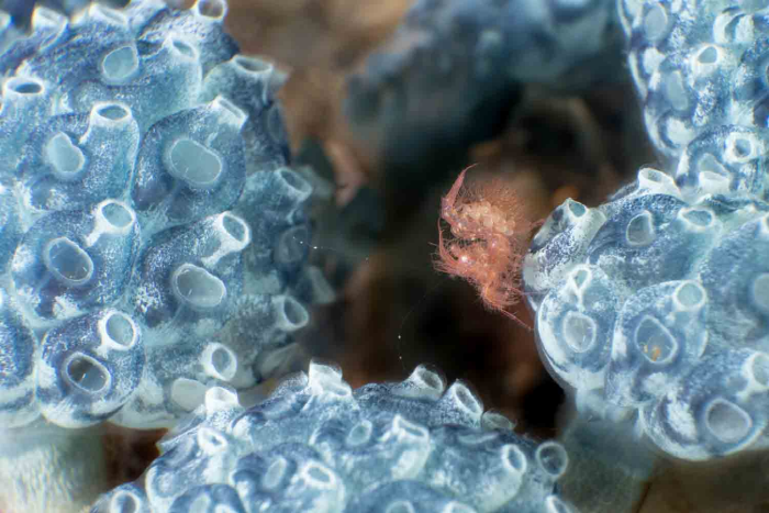 최혜원  Fjellvant 2022.-사진제공 갤러리 류가헌