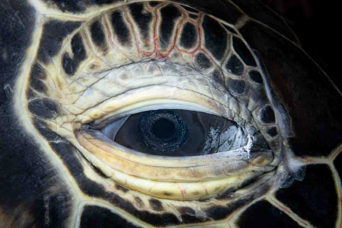 최혜원  Saudad. 2023.-사진제공 갤러리 류가헌