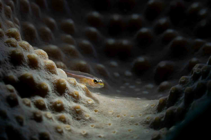 최혜원  Vacilando 2022.-사진제공 갤러리 류가헌