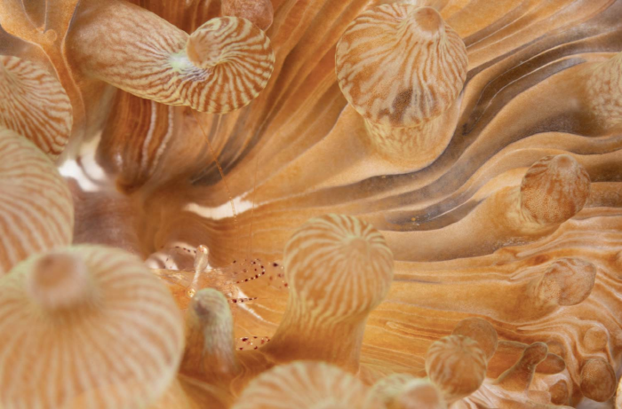 최혜원  μεράκι 2023.-사진제공 갤러리 류가헌