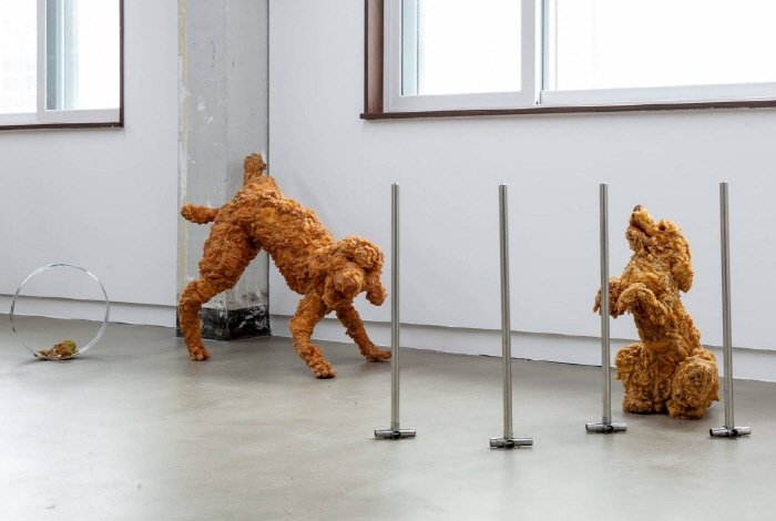 권은산, 〈IllIIllI-Ⅰ〉, 2025, PVC, Dimension Variable ⓒ2025. ACAM and Kwon Eunsan. All rights reserved (1)-사진제공 권은산 작가