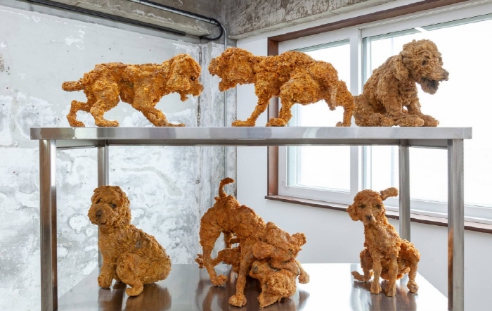 권은산, 〈IllIIllI-Ⅰ〉, 2025, PVC, Dimension Variable ⓒ2025. ACAM and Kwon Eunsan. All rights reserved (2)-사진제공 권은산 작가