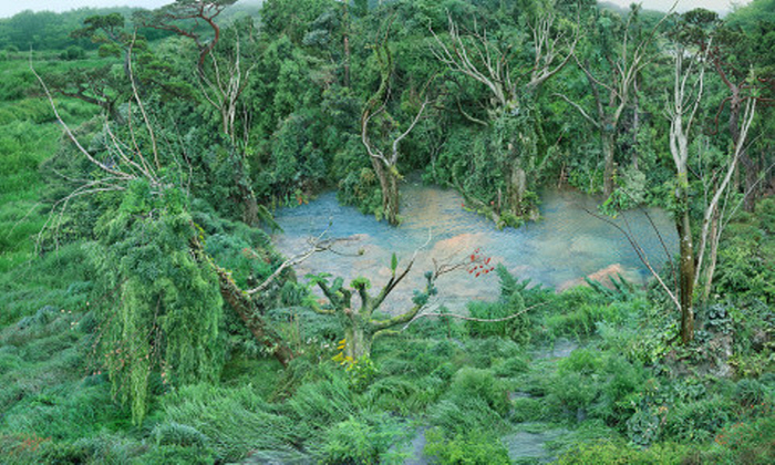 ‘제23회 동강국제사진제’가 동강사진박물관 및 영월군 일원에서 7월 11일 개최된다-사진제공 동강국제사진제