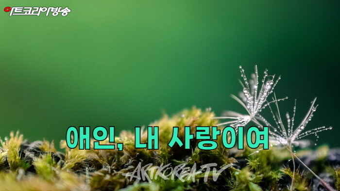 AI VERSION 노래-MERCAE 진 '애인 내사랑이여!'-김규봉 시인의 심혼시 '애인- 내 사랑이여'