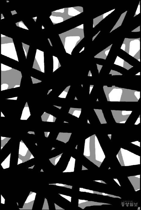 문상욱, 카오스(Chaos), 아카이벌 피그먼트 프린트, 75×100, 2019-사진제공 김종근 미술평론가