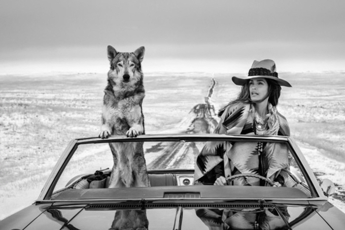 데이비드 야로우-영국, 1966년생-다시 길 위에서 , 2020-사진제공 프라이스 파인 아츠