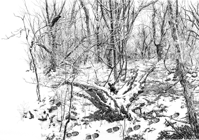 그 겨울로부터1 2024 종이에 펜 112x300 (3폭)-사진제공 제주갤러리