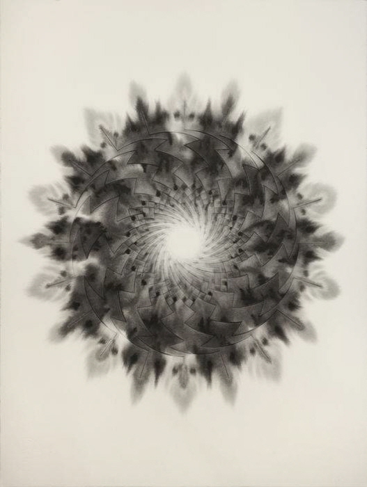 Entoptima, 76x56cm, 2018, ink on paper-사진제공 남궁환 작가