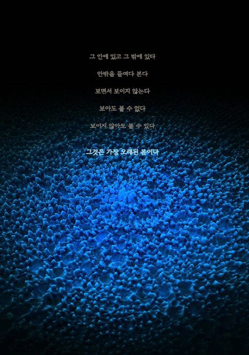 ENTOPTIMA, 별의 기억, Souffle, 아트파크 설치 작품 2025-사진제공 남궁환 작가