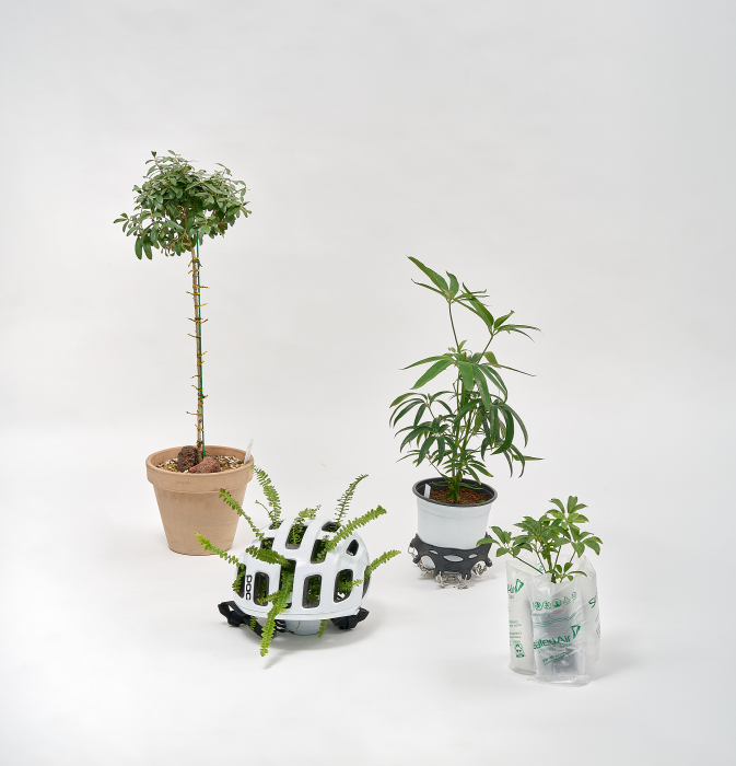 캑터스 킬러 pic ver_액자 안에 C-프린트_2024-사진제공 레이블 갤러리