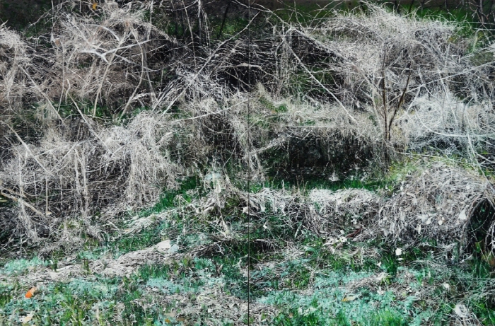 박지수, 모든것의 장소, 2023, 캔버스에 유화(Oil on canvas), 293.1 x 387.3 cm-사진제공 서울미술관