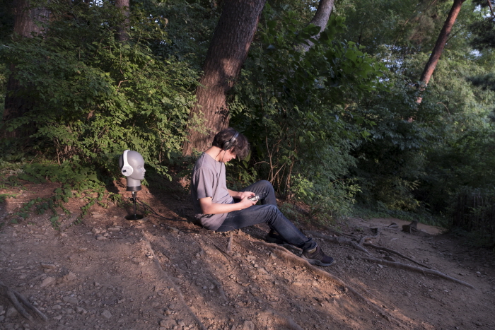 권병준, 오묘한 진리의 숲 2, 2018. Byungjun Kwon, Forest of Subtle Truths 2, 2018-사진제공 송은