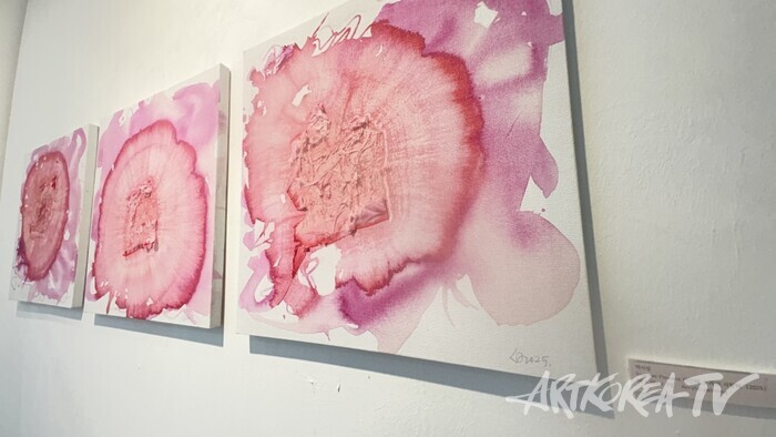                백지상, Summer Flowers_미안해, 고마워, 사랑해 연작, 38x38 3점, Acrylic on canvas, 2025