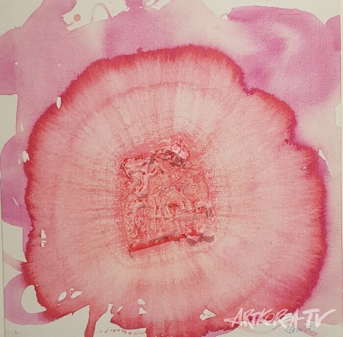 백지상, Summer Flowers_고마워, 38x38, Acrylic on canvas, 2025