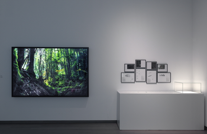 알렉산드라데이지 긴즈버그 ©작가제공