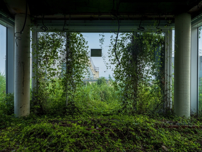 박정근, Echos of Fragility 깨지기 쉬운 섬세한 것들의 메아리, 2025, 사진, 70x100cm-사진제공 제주갤러리