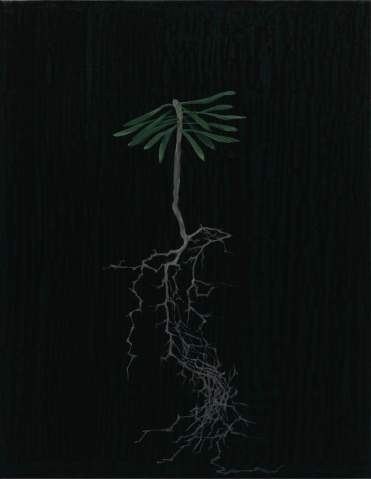 양화선, 구상나무, 2024~2025, 캔버스에 아크릴,  40.9x31.8cm-사진제공 제주갤러리