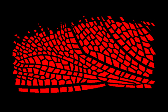 문상욱作_ 프랙탈, 90x60cm, Pigment Print, 2025-사진제공 네오아트센터