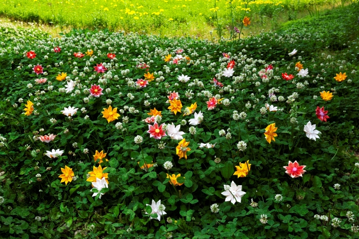 홍인숙作_ 풍경정원 #7, 600x900mm, pigment print, 2025-사진제공 네오아트센터