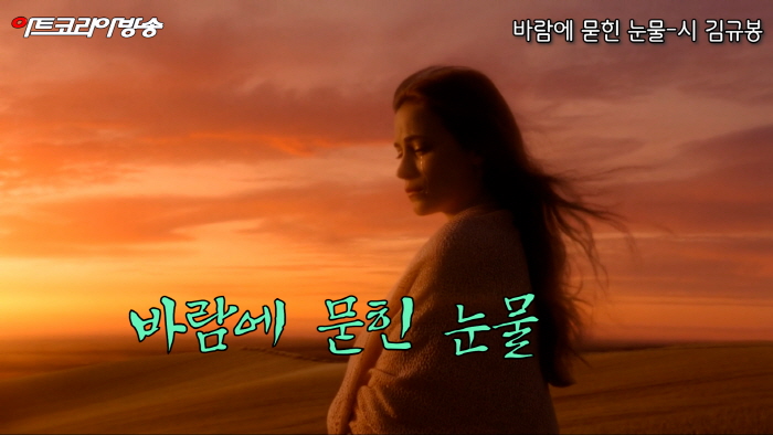 바람에 묻힌 눈물-시 김규봉-노래 MERICA 진-AI VERSION-편집 김한정