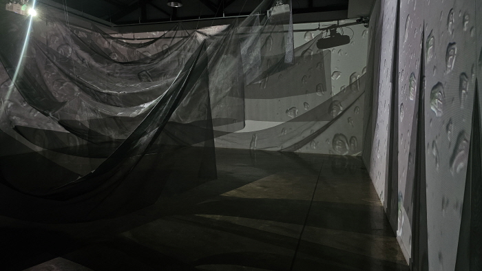 차창욱 개인전 '가로막힌 사이의 우리'-선입견의 장막 너머, 들여다보기의 미학-사진제공  전주 한옥마을 교동미술관