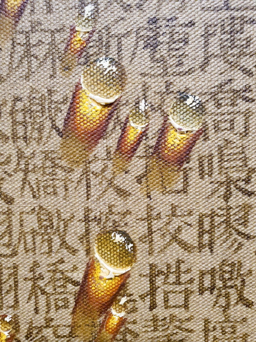 50년 동안 물방울만, 김창열 그 존재의 상징-사진제공 김종근 미술평론가