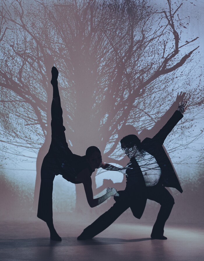 서울시발레단 'Under The Trees' Voices' 콘셉트 사진(강효정, 이유범) 제공 세종문화회관