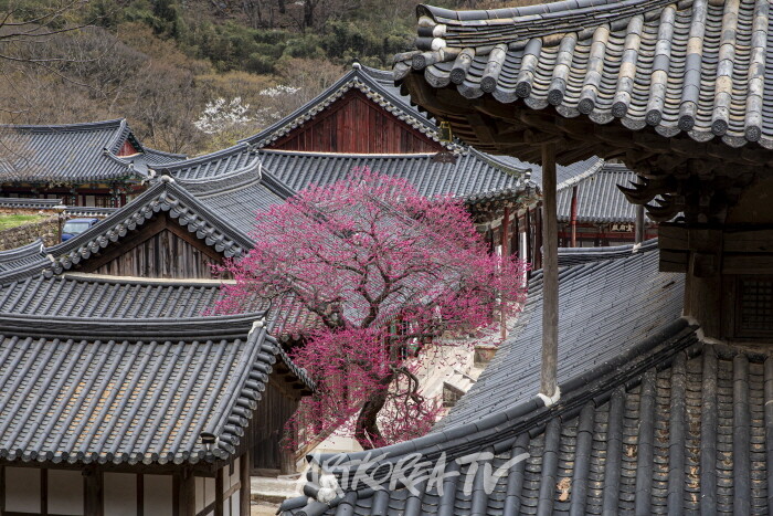 송남영 사진작품-사진촬영 김한정 기자