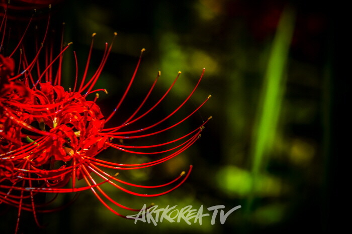 송남영 사진작품-사진촬영 김한정 기자