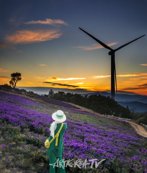 송남영 사진작품-사진촬영 김한정 기자