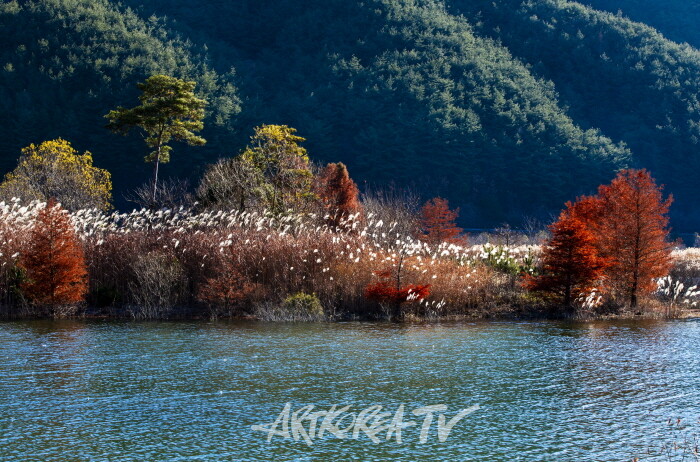 송남영 사진작품-사진촬영 김한정 기자