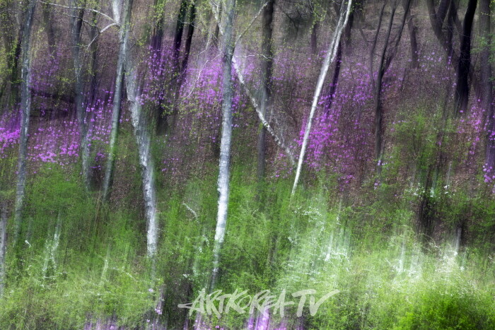 송남영 사진작품-사진촬영 김한정 기자