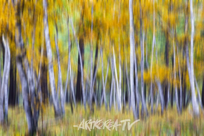 송남영 사진작품-사진촬영 김한정 기자