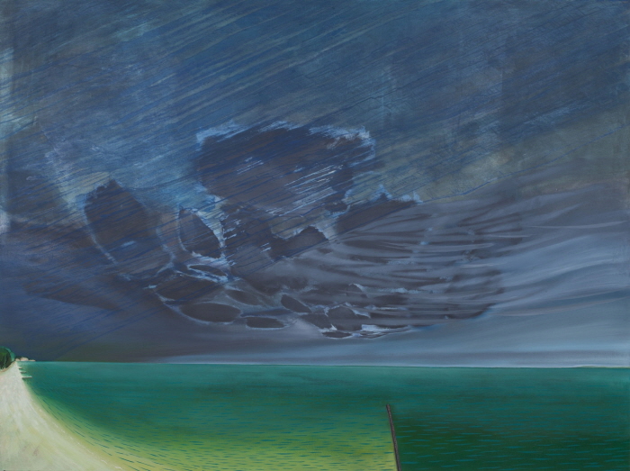 페인트의 대담함-수 맥널리(Sue McNally), 미국 풍경의 새로운 언어를 쓰다-사진제공 수 맥널리(Sue McNally)