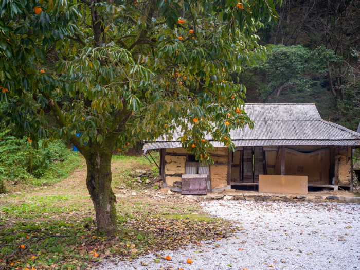 지수연 전북 완주 2_2025-사진제공 갤러리 류가헌