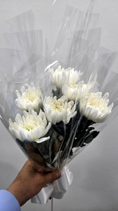 박동 칼럼-이리역 폭발 48주기, 잊힌 추모의 자리에서 다시 묻는다-사진제공 박동 칼럼니스트