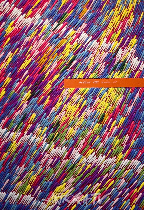 116.8×80.3cm Mixed media on Canvas-사진제공 김한정 기자