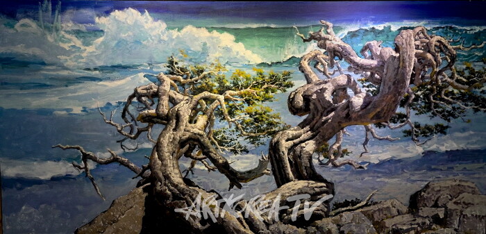 -사진촬영 김한정 기자