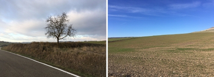 연장, 2025, c-print, 56x76cm-사진제공 갤러리 밈