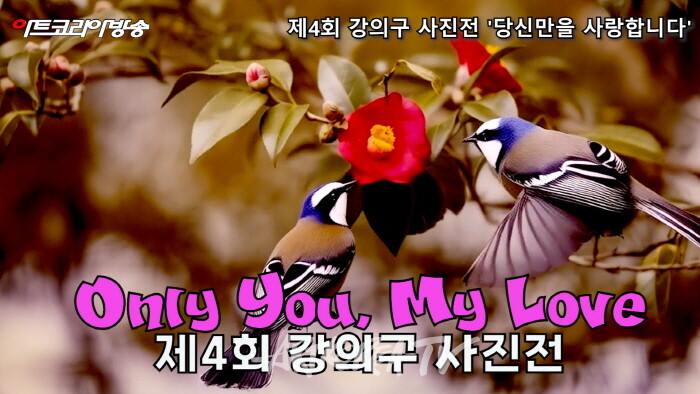 강의구 사진전 제4회 개인전 ‘당신만을 사랑합니다’-사진촬영 김한정 기자