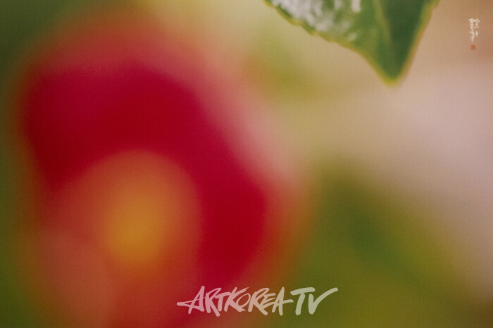 강의구 사진전 제4회 개인전 ‘당신만을 사랑합니다’-사진촬영 김한정 기자